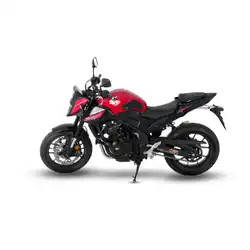 hornet bike latest model